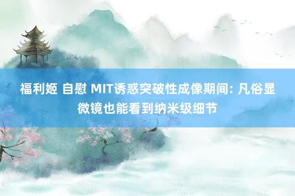 福利姬 自慰 MIT诱惑突破性成像期间: 凡俗显微镜也能看到纳米级细节
