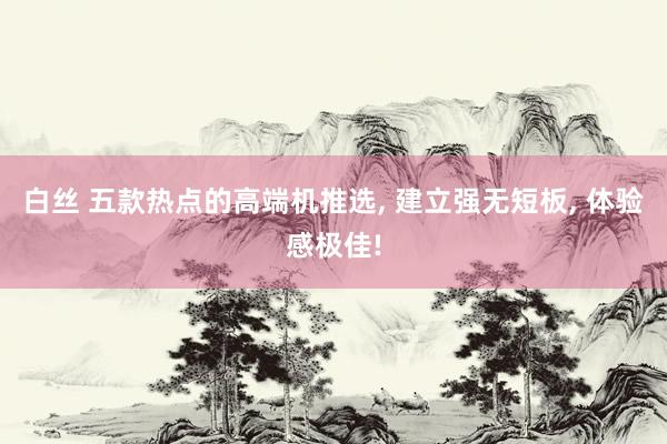 白丝 五款热点的高端机推选， 建立强无短板， 体验感极佳!